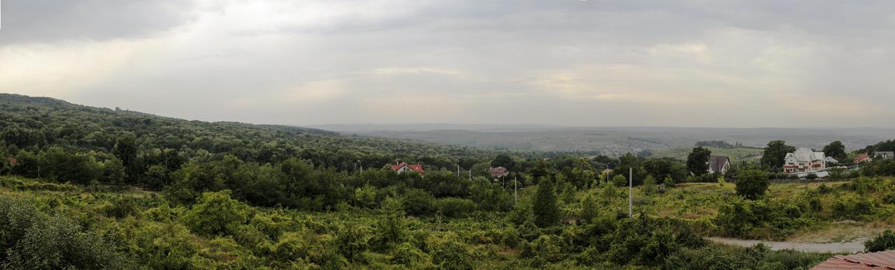 Pensiunea Taverna Bucium Iasi Eksteriør bilde